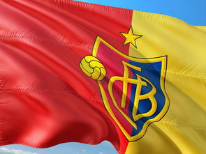 kaiyun网址-全国青少年足球超级联赛战况激烈，全国青少年少年足球联赛  第3张